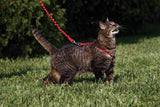 Premier Pet Come With Me Kitty Harness & Bungee Lead Dusty Rose Small