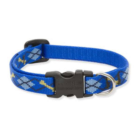 Lupine Dapper Dog Collar 1/2” 6”-9”