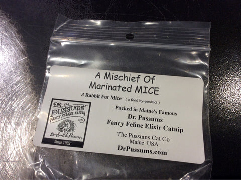 Dr Pussums Mischief Of Marinated Mice