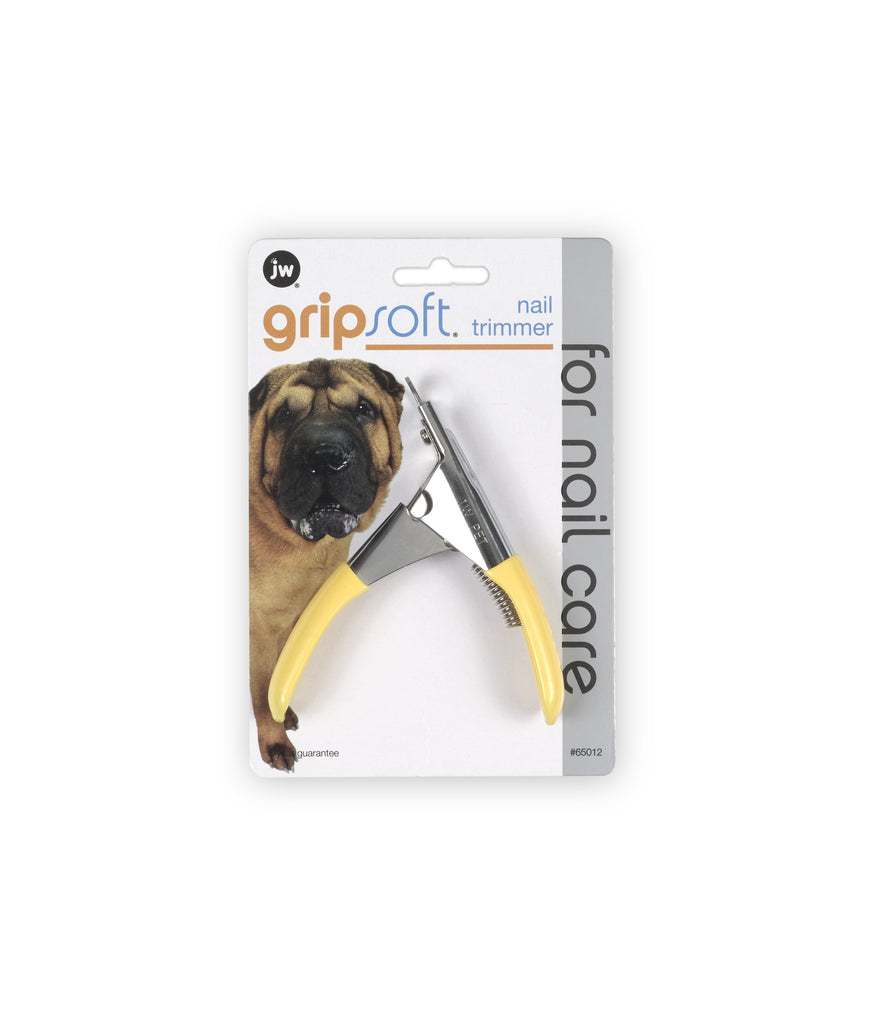 Female Hands Holding Pug Paws and Cutting Claws on Dog Stock Image - Image  of claw, cutter: 199290669