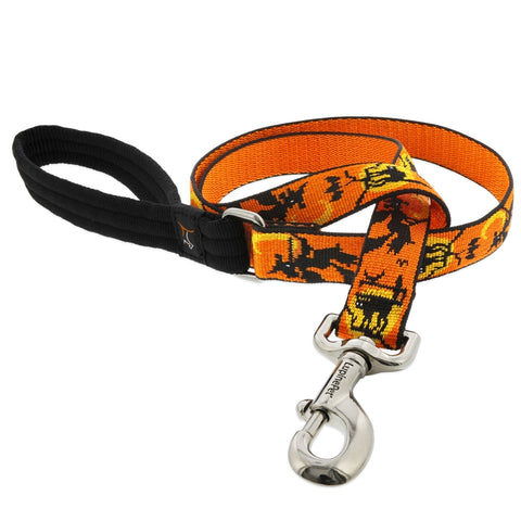 Lupine Wicked Leash 1/2” 6ft