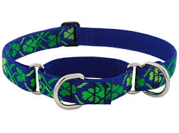 Lupine Lucky Dog Collar 1/2” 6-9”